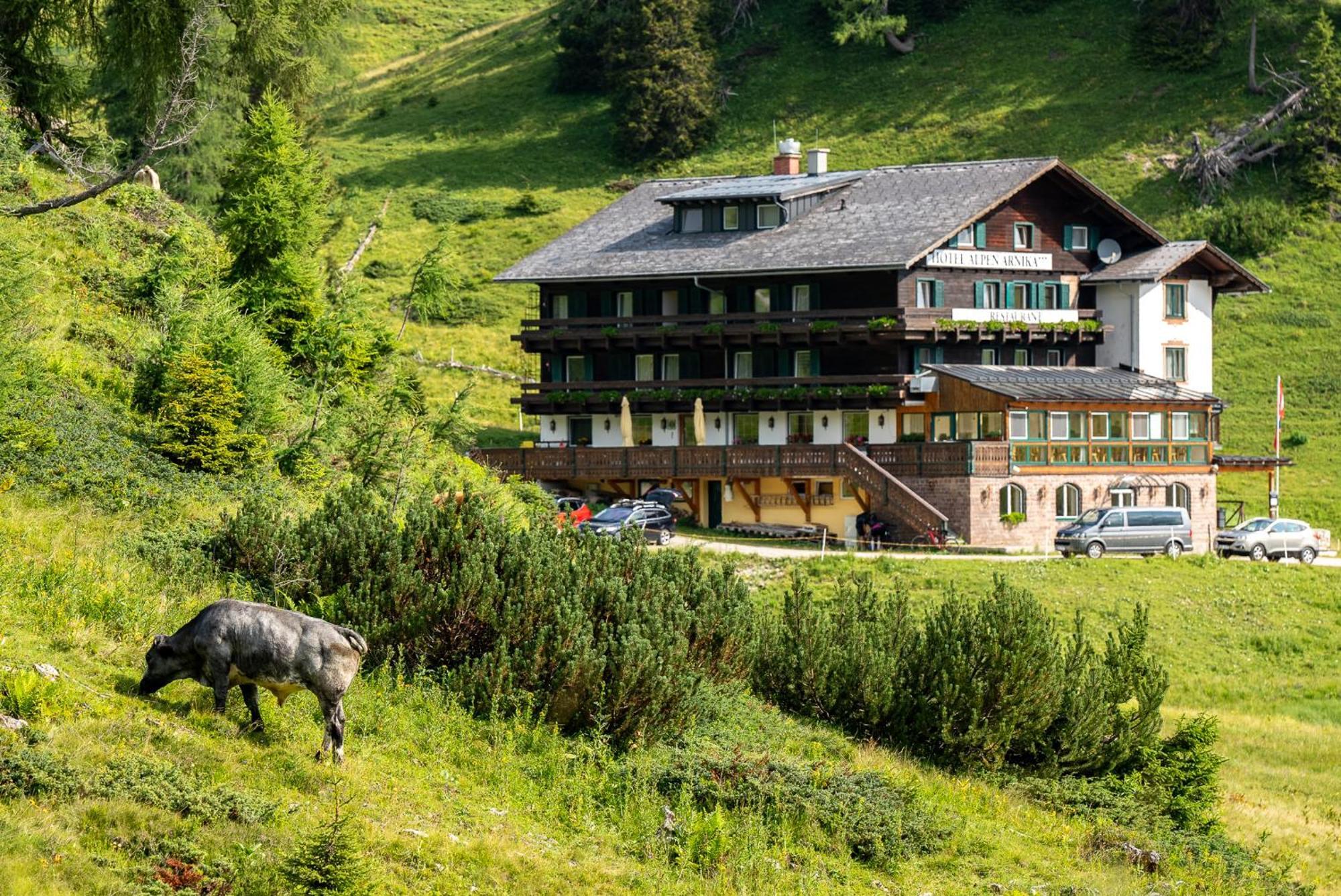 Hotel Alpen Arnika Tauplitzalm Buitenkant foto